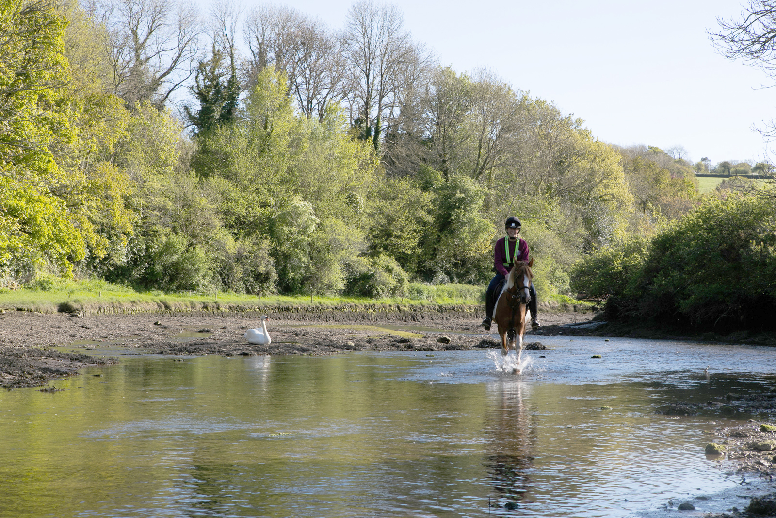 Horse and rider in Penpoll Creek